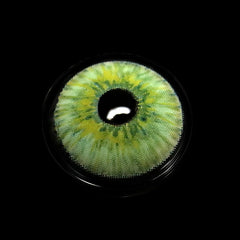 New York Green Colored Contact Lenses Beauon 