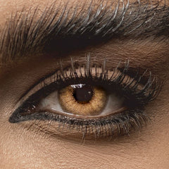 Wildcat Brown Colored Contact Lenses Beauon 